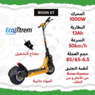 Trottinette électrique Bison GT 1000W